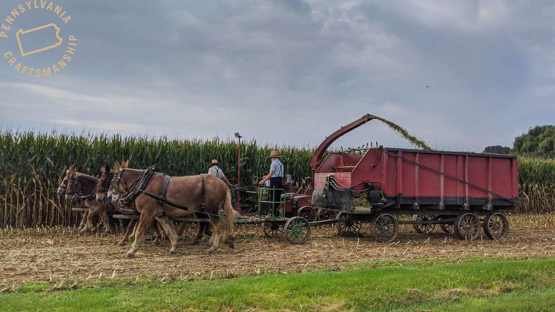 7+ Free Amish Boy & Amish Images - Pixabay