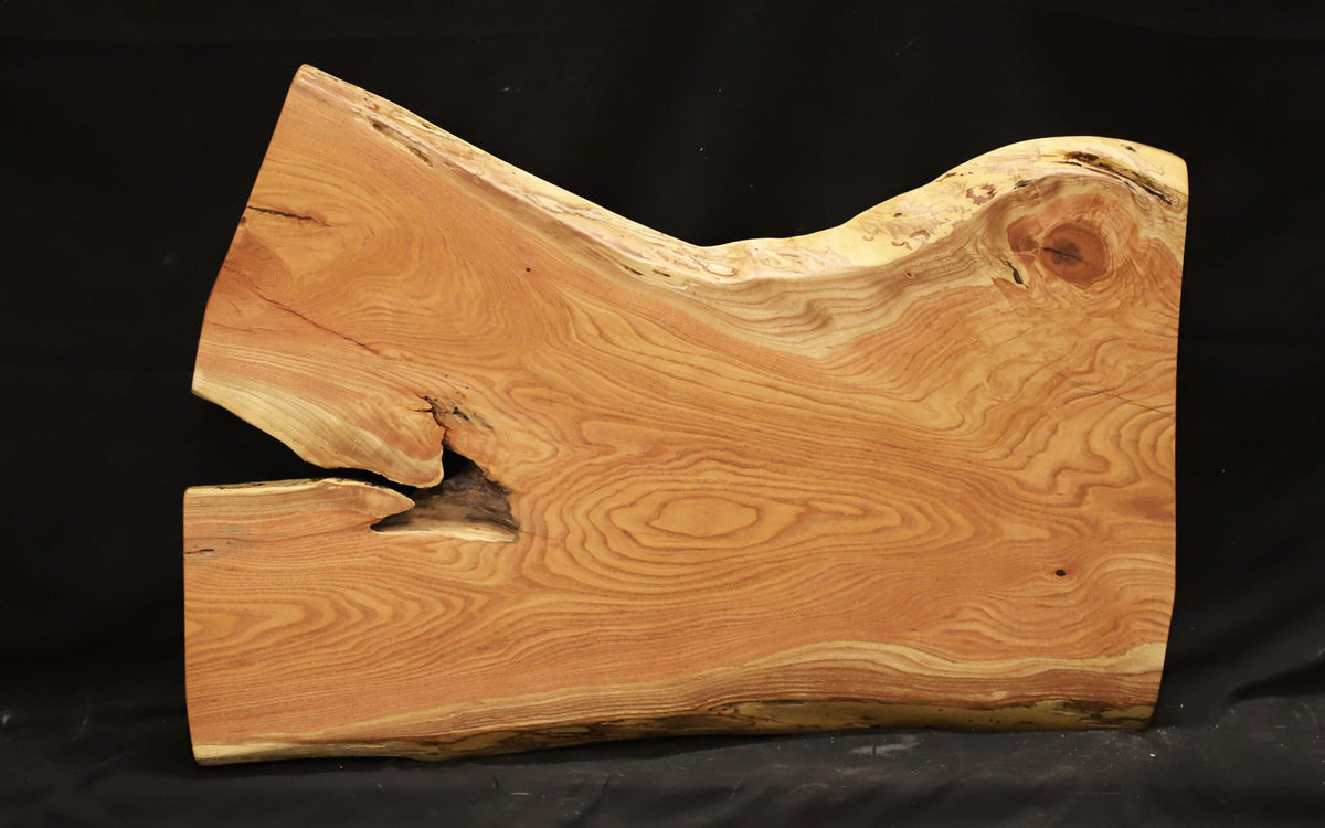 Live Edge Slab Kentucky coffee tree 21&quot; - 32&quot; wide x 44&quot; long x 2&quot; thick for Rectangular Coffee Table