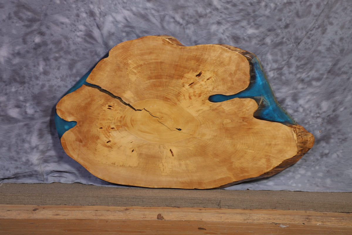 Live Edge Slab gingko 40&quot; wide x 66&quot; long x 2 ¼&quot; thick for Round Coffee Table