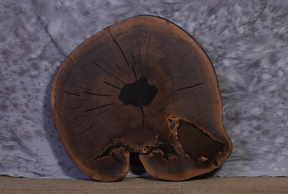 Live Edge Slab walnut 33&quot; x 35&quot; x 2 ½&quot; thick for Round Coffee Table