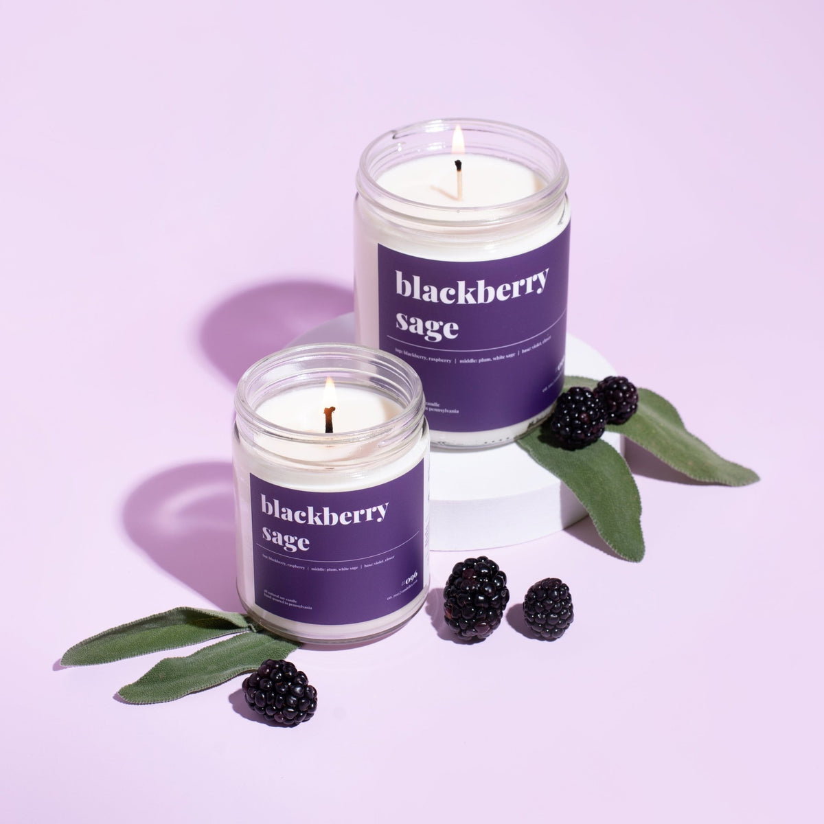 Blackberry Sage Soy Candle - Petite - snyders.furniture